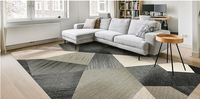 Modern Rug